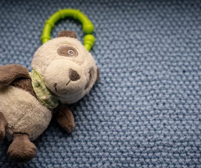 teddy-bear-4046385_1280